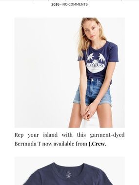 J. Crew Navy Blue/White Bermuda Palm Graphic Tee | Size Small